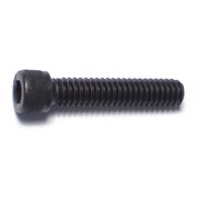 MIDWEST FASTENER 1/4"-20 Socket Head Cap Screw, Black Oxide Steel, 1-1/4 in Length, 100 PK 51725